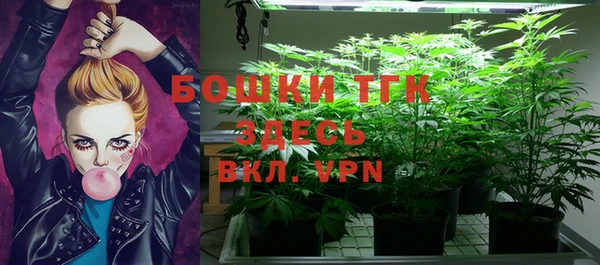 PSILOCYBIN Алзамай