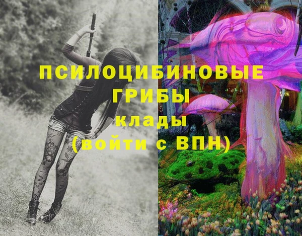 PSILOCYBIN Алзамай