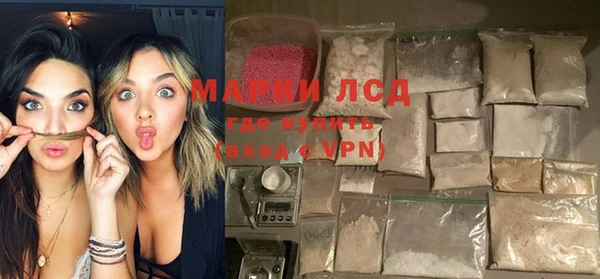 PSILOCYBIN Алзамай