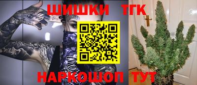 СК Жуковский