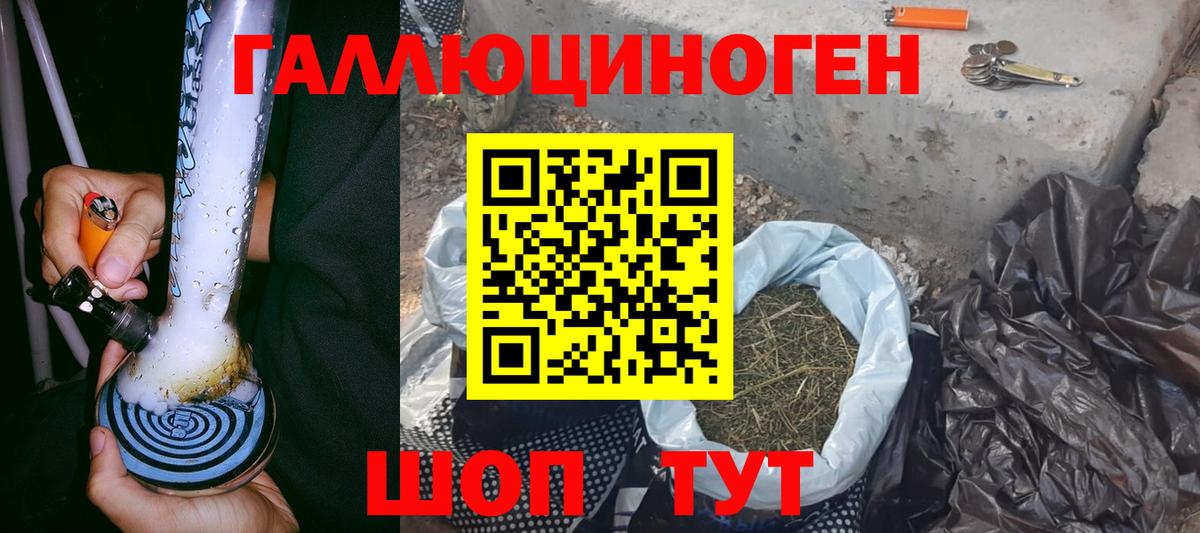 Псилоцибиновые грибы Magic Shrooms  Вход с VPN  Галлюциногенные грибы Psilocybine cubensis  Новокубанск 